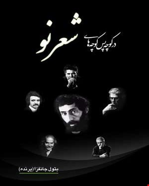 کتاب در کوچه پس کوچه های شعر نو